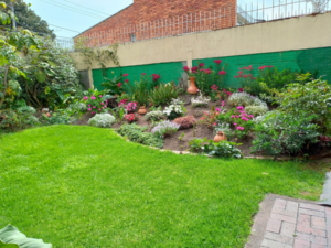 Centro Día Hogar El Divino Niño