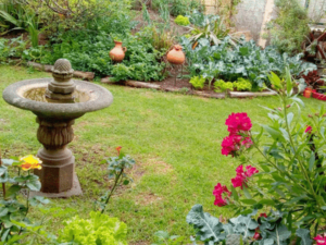 Jardin Interno